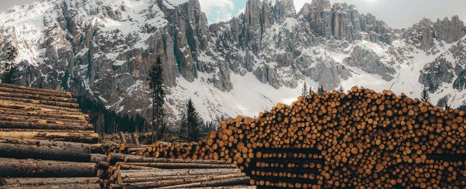 Sacramento Lumber Companies & Building Material Suppliers