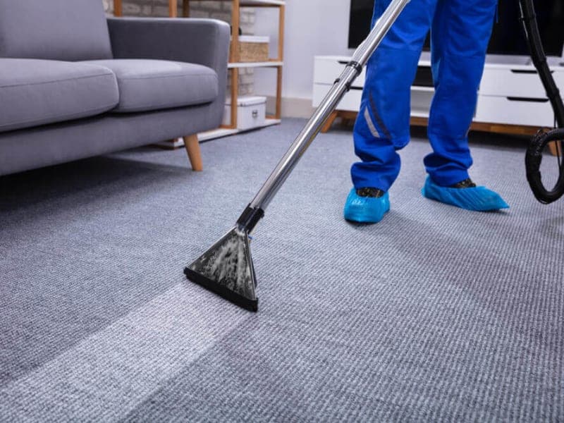 Carpet Cleaning Services & Companies