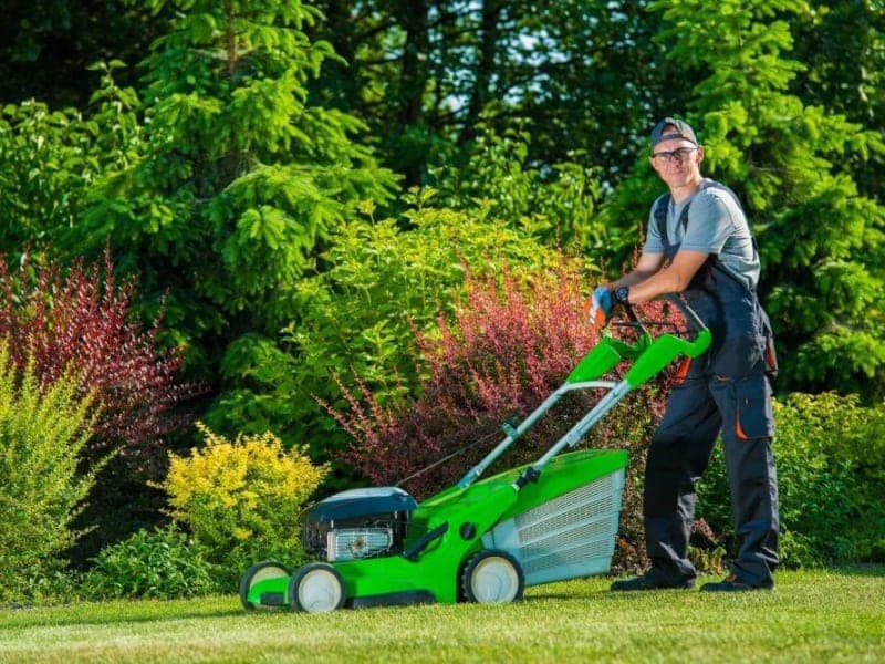 Lawn Care Service & Lawn Mowing Companies